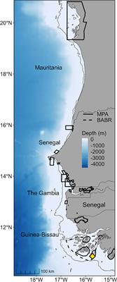 Green Turtles Highlight Connectivity Across a Regional Marine Protected Area Network in West Africa